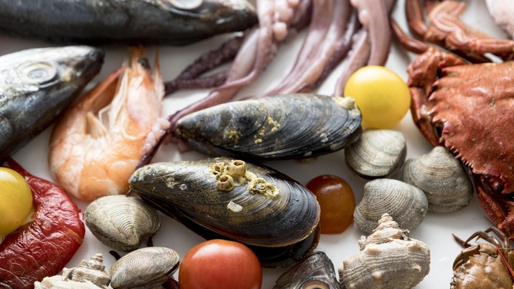 中, 日정부에 일본산 수산물 수입 중지 통보