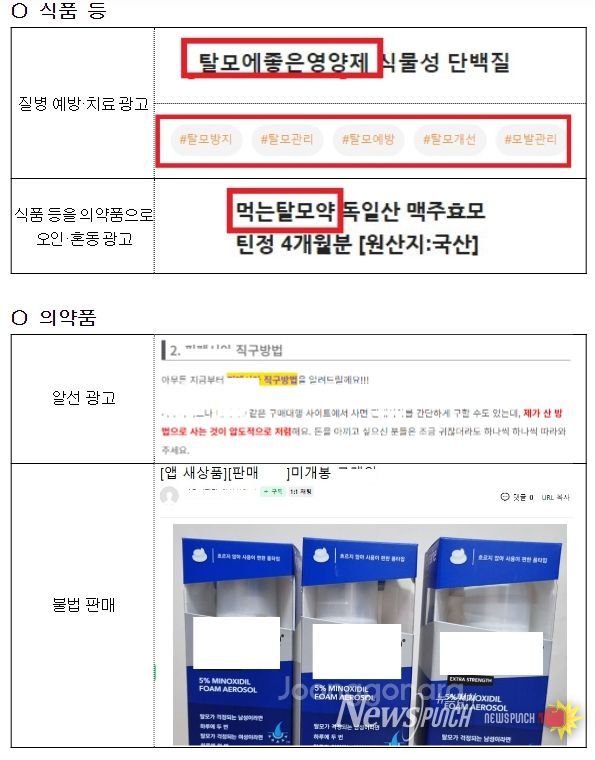 주요 적발 사례