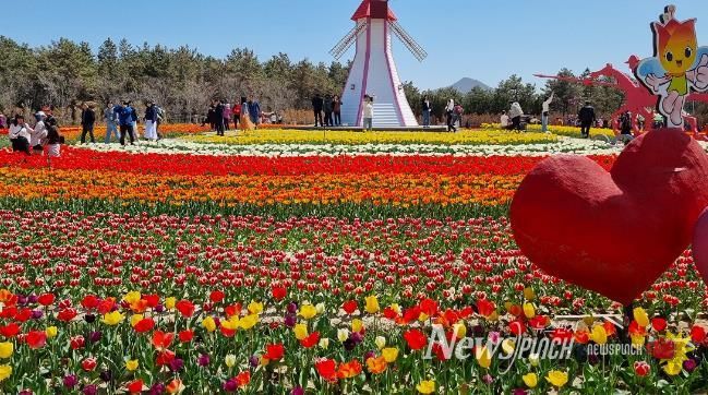 2023 섬 튤립축제