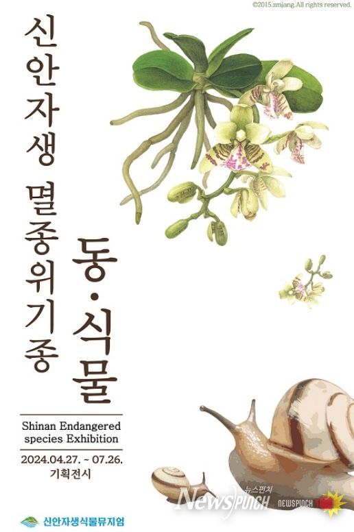 신안군, 멸종위기종 동․식물 만남 기획전시 개최