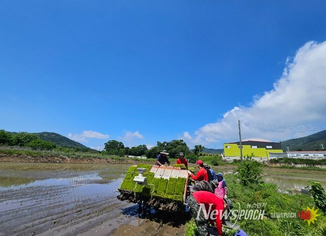 강화군, 농촌일손돕기 대민 지원으로 모내기 적기에 마무리