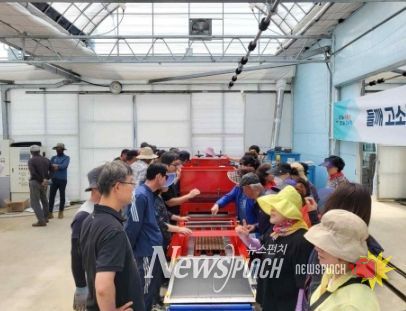 옹진군, 백령면 농작물 공정육묘장 들깨 육묘 실시