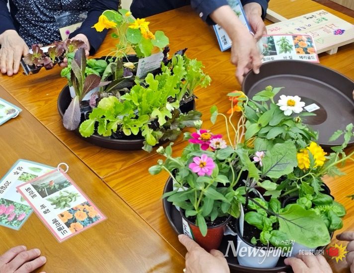 연수구 치매안심센터, “기억해, 봄! 치유농업 프로그램” 운영