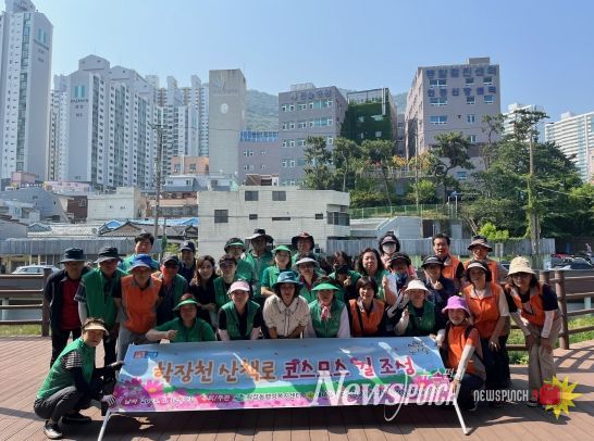 부산 사상구 학장동, 학장천 산책로 코스모스 길 조성 사업 실시