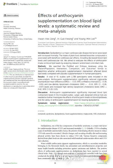 연구 논문 표지