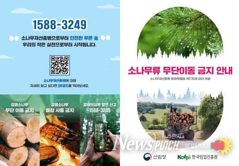 제주도, 가을철 소나무류 이동 특별단속