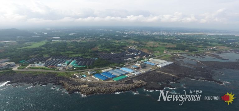 제주도 해양수산연구원, 해양환경 분석 전문성 입증