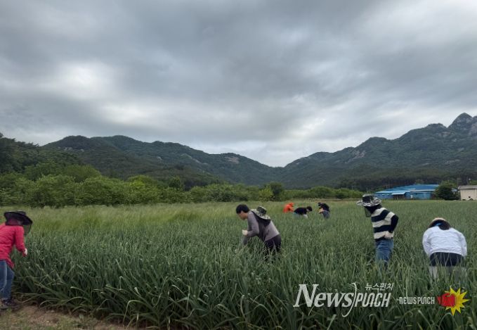 부안군 산림정원과, 영농철 일손돕기