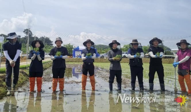 상주시 청년농과 모내기, 미소진품 벼 예찰 본격화!