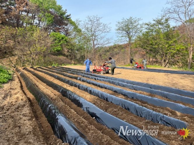 산불피해지에 농작업 영농지원단 운영