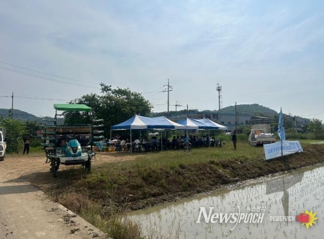 군산시 농민회, 통일쌀 모내기 행사 성황
