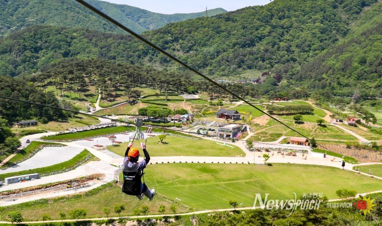 정읍 구절초 짚와이어, 27일 개장