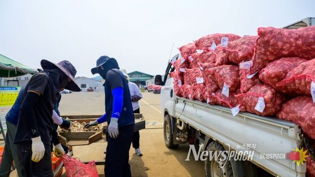 마늘 수매현장 방문