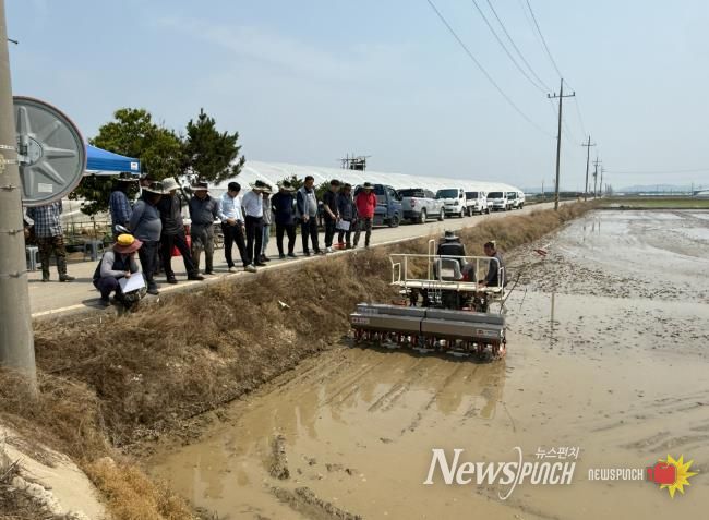 벼 무논직파 연시회