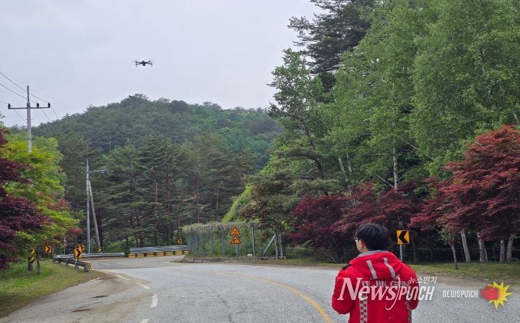 드론·지상 예찰 병행으로 감염목 사전 차단 총력