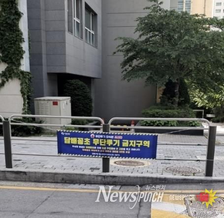 담배꽁초 무단투기 금지 현수막