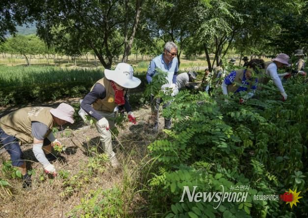 2024년 생태계 교란 식물 제거의 날 행사