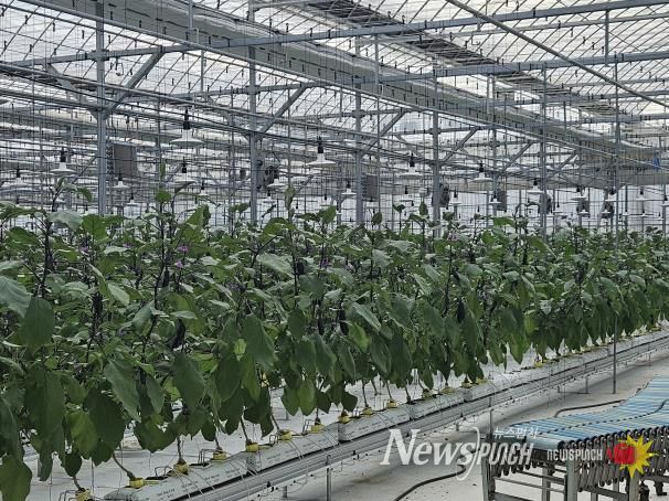 파주시, 올 하반기 귀농 농업창업 및 주택구입 지원사업 대상자 모집