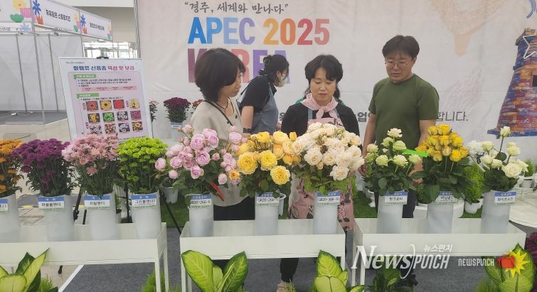 경북 육성 신품종 화훼, 대구꽃박람회에 홍보