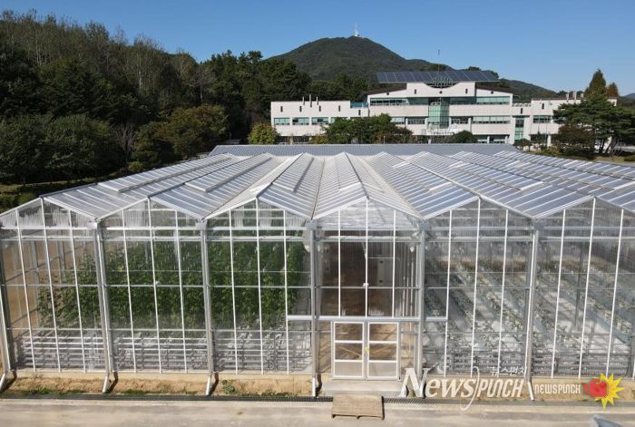 1. 천안시농업기술센터의 스마트팜 테스트베드 전경