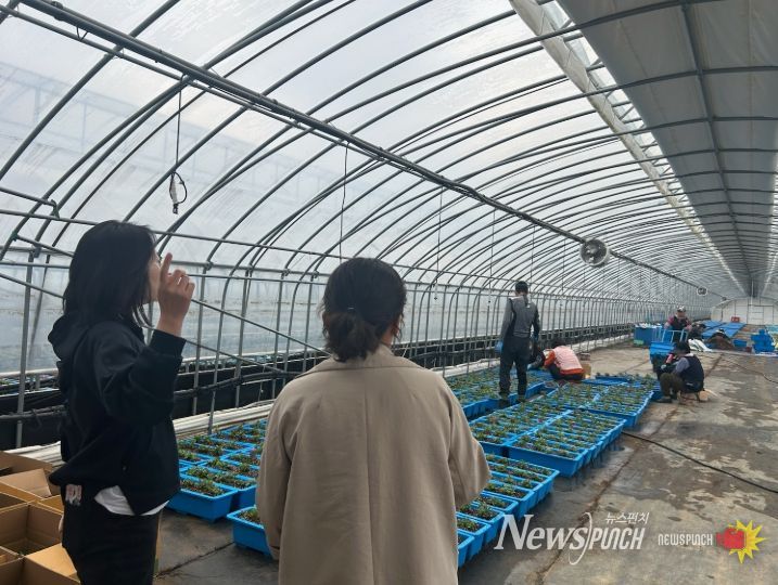 금산군 지역공동체 일자리 추진 모습