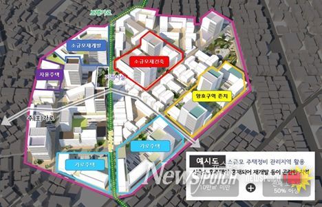 소규모주택정비 관리지역 개념도