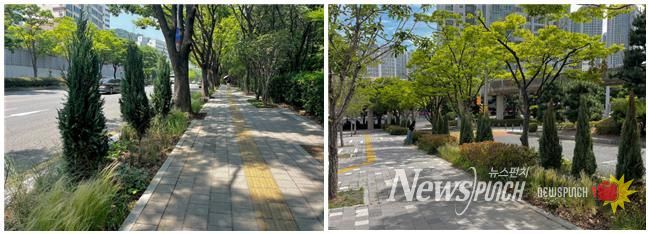 안전한 등굣길 제공, 생태적 교감능력 향상을 위해 조성된 ‘창신초 그린등굣길’