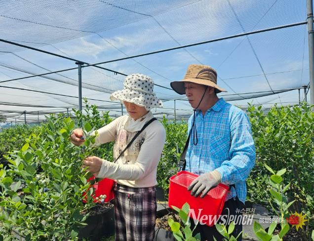 강진군이 실전적인 귀농교육을 실시, 신규 농업인들로부터 호응을 얻고 있다.