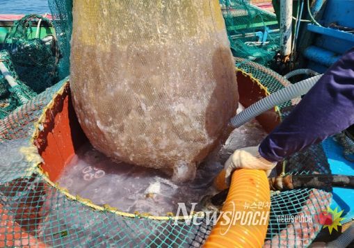 고흥군, 전국 최초 ‘해파리 대량 발생 재난대비훈련’ 실시