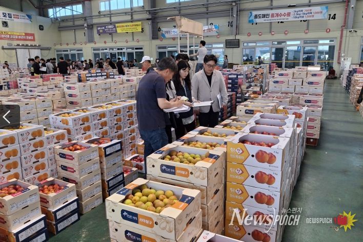 영천 농산물, 신뢰를 더하고 세련된 디자인을 입다!