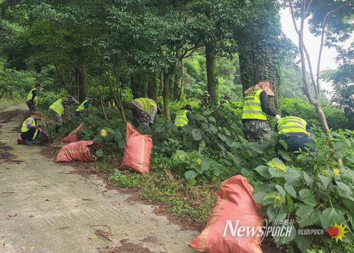 생태계 교란 식물 퇴치