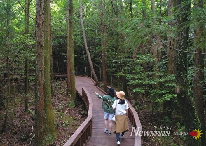 서귀포치유의숲