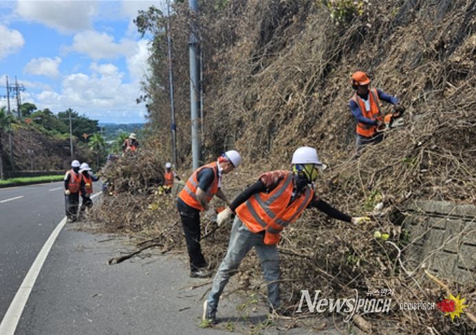 산림생태 건강성 증진을 위한 숲가꾸기 사업