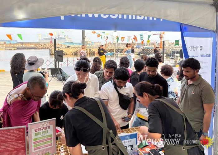 2025 서귀포 크루즈 페스타