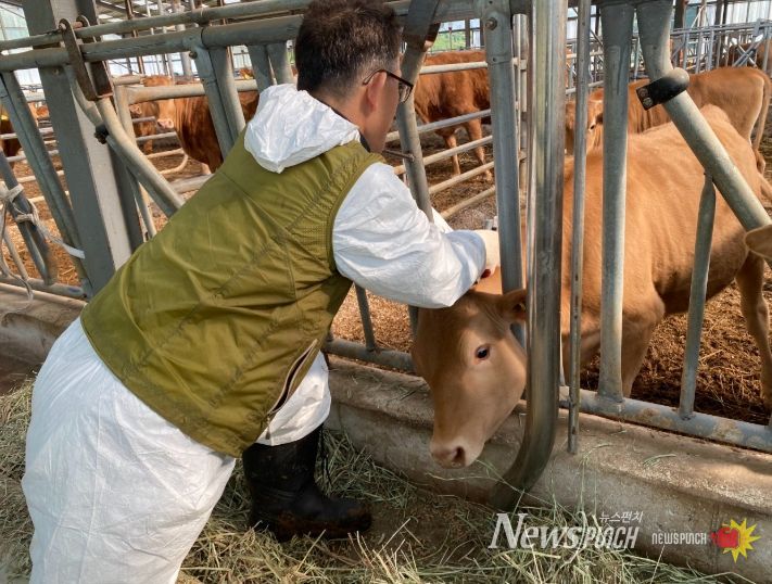 , ‘2025년 하반기 구제역 백신 일제접종 실시’