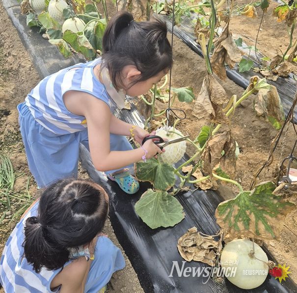 특산물‧체험‧