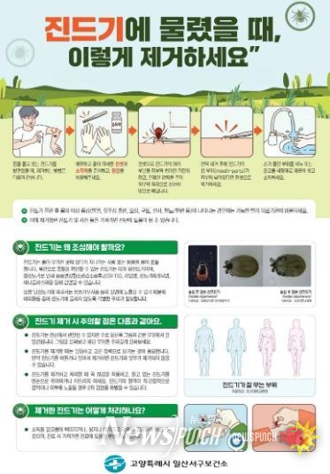 진드기 물렸을 때 제거 방법 안내문