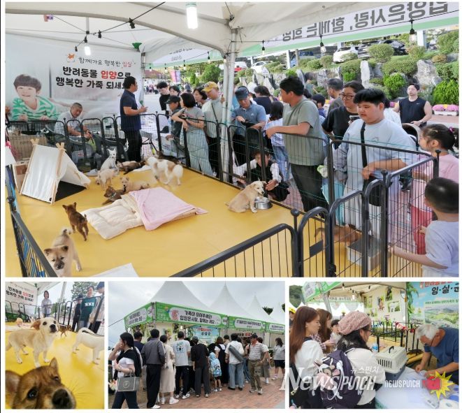 임실N치즈축제 반려 산업 홍보관, 유기견 사랑의 입양 큰 성과