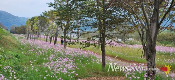 석곡면은‘제25회 석곡 코스모스 음악회