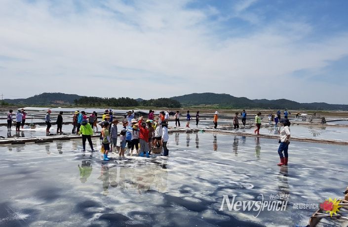 신안군, 제2회 보물섬 함초축제 개최