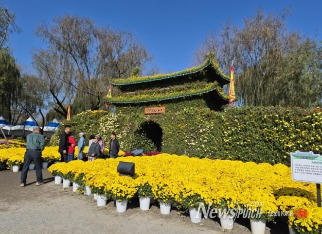 제21회 백제고도부여국화축제