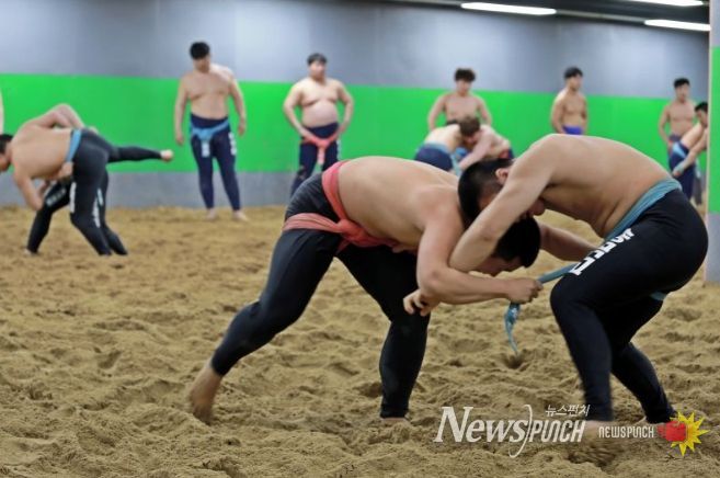 씨름전지훈련