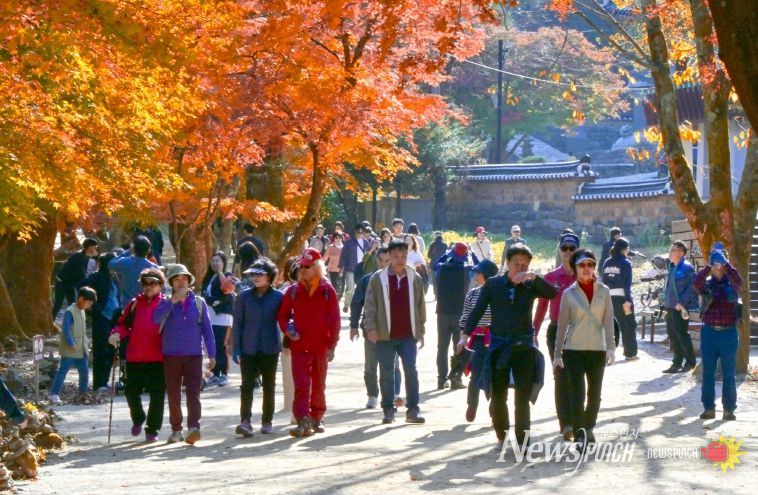 강천산군립공원, 10월 24일부터 가을 성수기 운영 시작