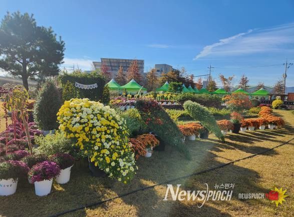 제5회 작은공룡 국화 전시회 10월 31일 개최