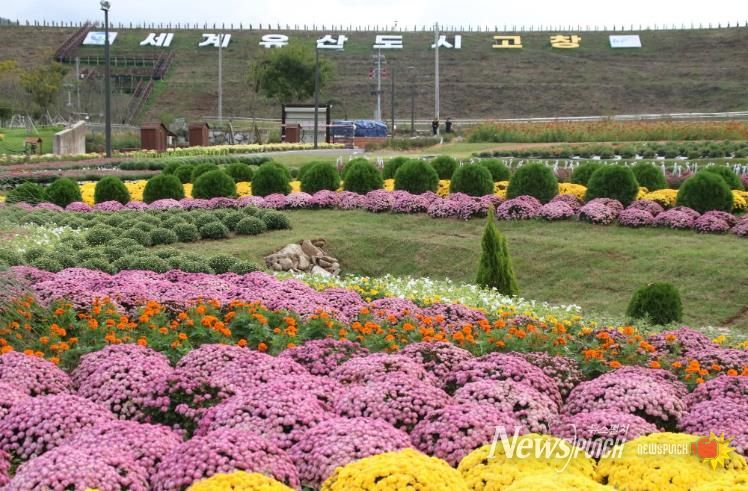 고창 꽃정원