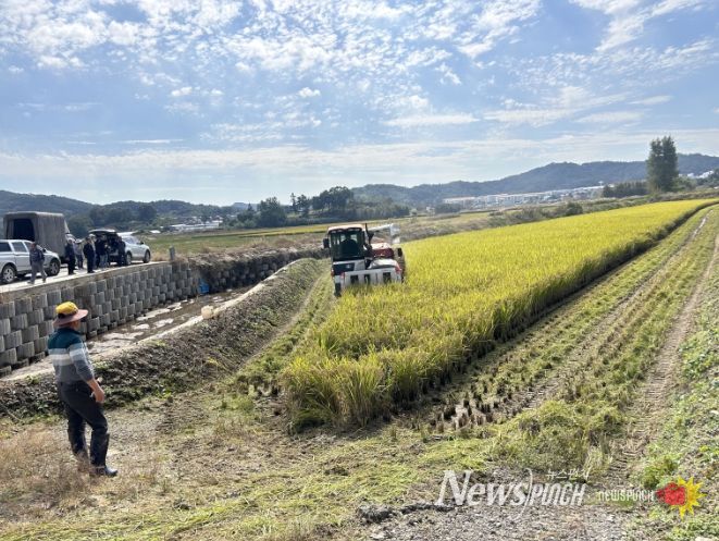 부여읍 행복 나눔 벼 베기 행사