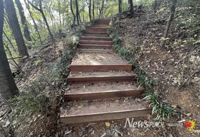 서대문구가 8∼10월 시행한 관내 궁동산 등산로 정비 후 모습