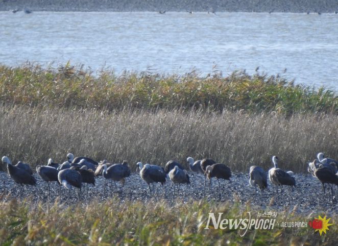 겨울 핫플, ‘순천여행’
