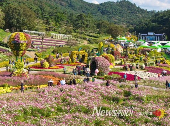 '2025 화순 고인돌 가을꽃 축제(도곡 축제장 전경)