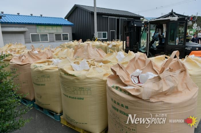 지난해 공공비축미곡 매입 당시 사진